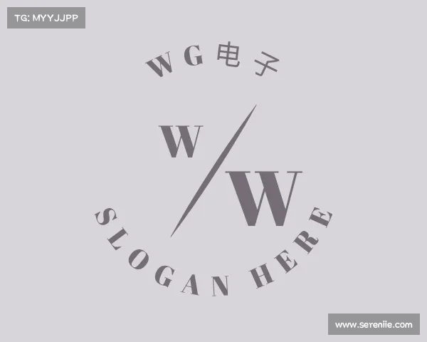介绍WG电子